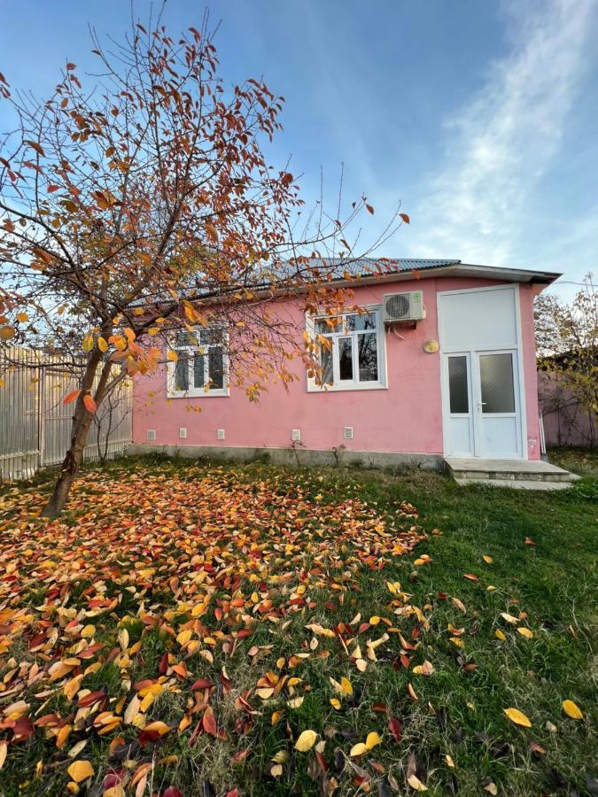 Qafqaz Resort Family House Габала Экстерьер фото